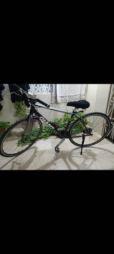 Gaint bicycle