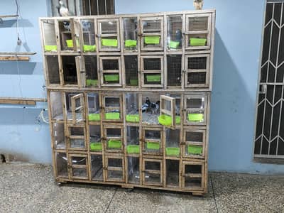cage 20 box good
