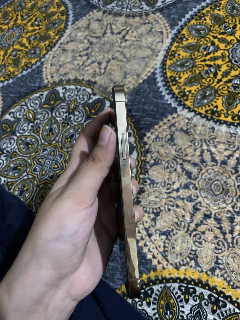 iPhone 12 Pro 1