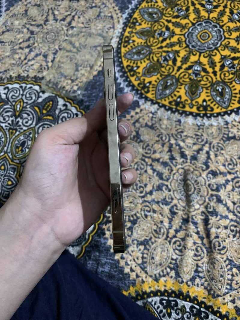 iPhone 12 Pro 5