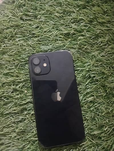 Apple iPhone 12