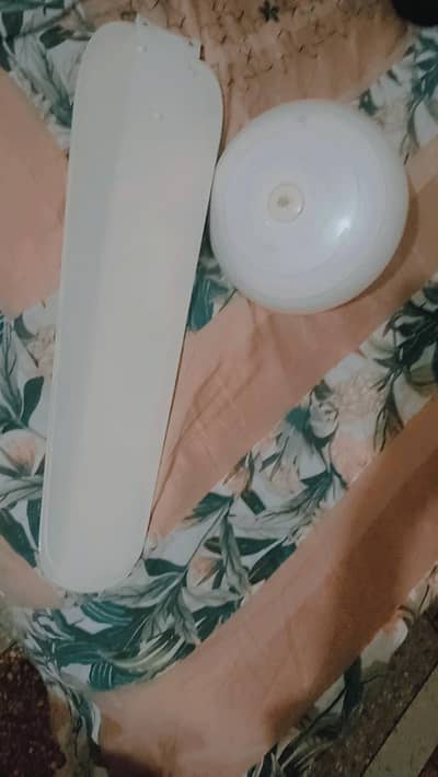 ceilling fan