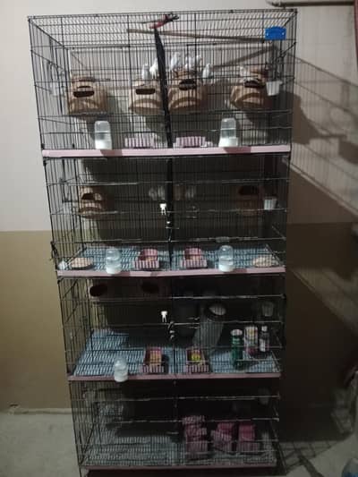 CAGE FOR LOVE BIRDS