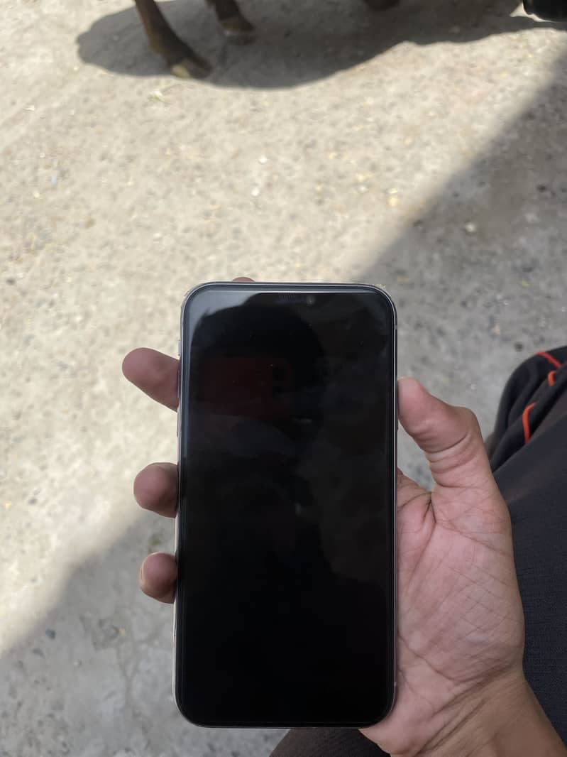 Iphone 11 0