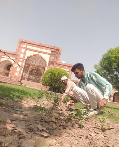 Kise Bhai ko apny Ghar park main Kam karwana ho to hum say rabta Kary