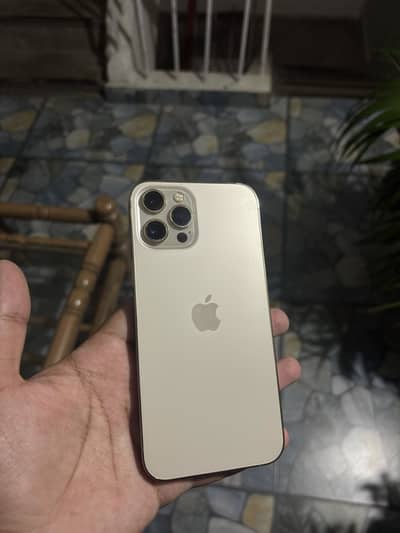Apple iPhone 12 Pro Max