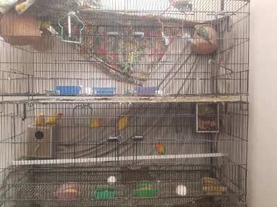 Complete Setup for Sale