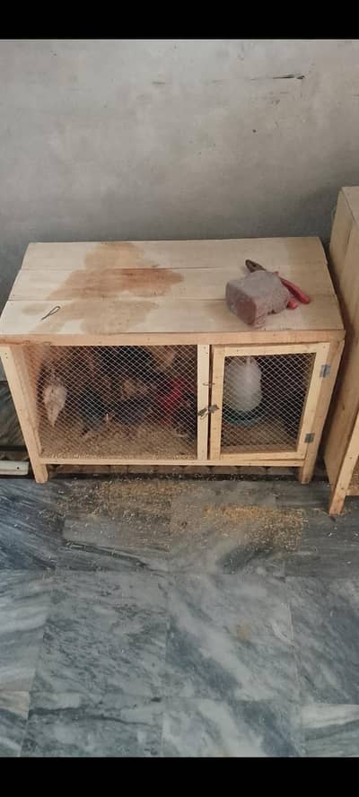 Hen Cage for sale