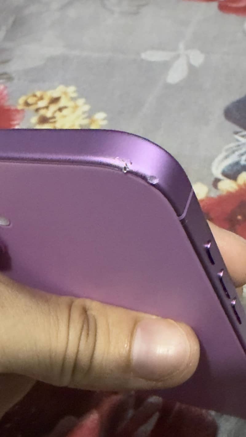 Apple iPhone 16 Plus 1