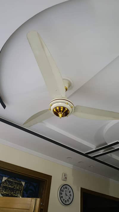 Fancy cieling Fans
