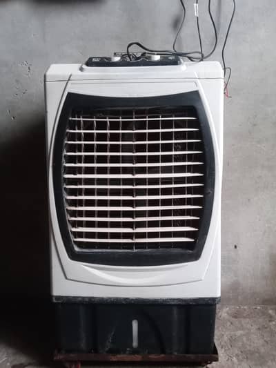 air collar 12wt,03217644569