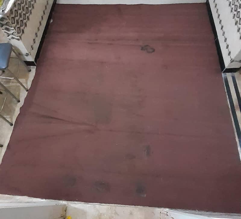 carpet 1