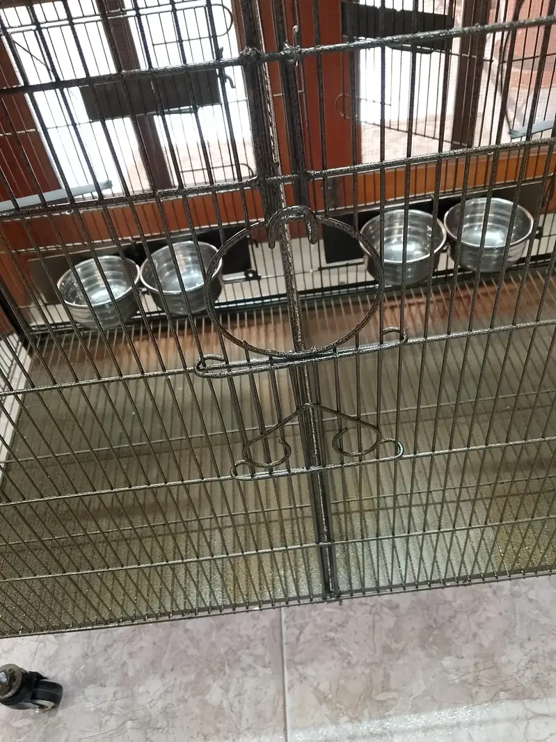 Coated cage — photo 4