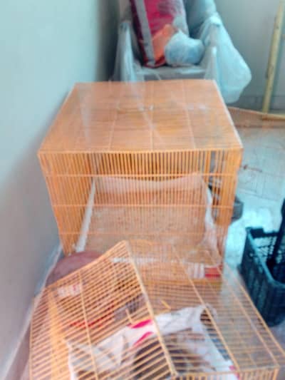big cage used