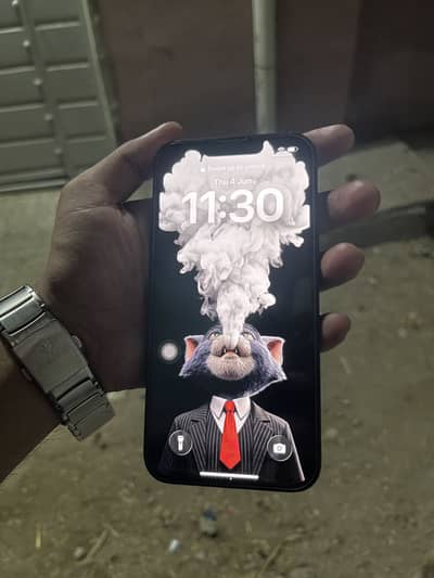 Apple iPhone 13