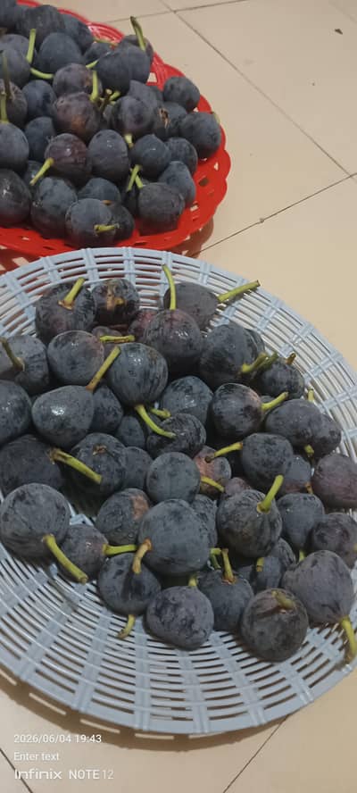Fresh Anjeer/Fig,  free delivery Bahria and DHA ISB