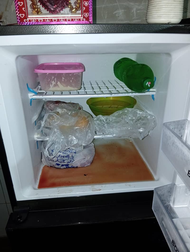 fridge 5
