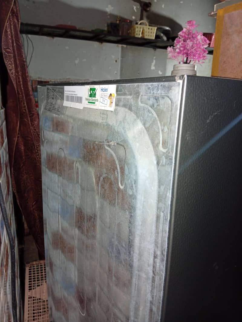 fridge 7