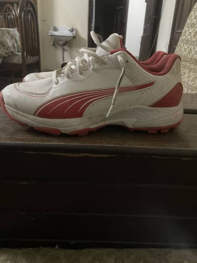 Origional puma shoes for sale