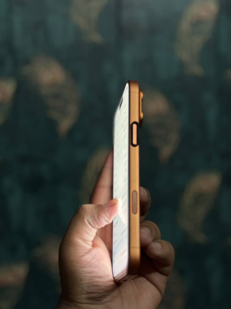 iPhone 17 Pro max 1