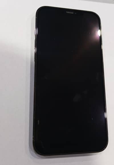 Apple iPhone 12 Pro Max