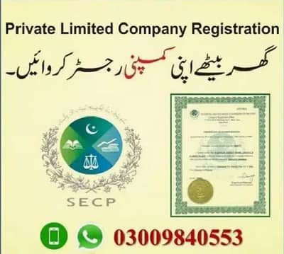 03-00/98-40-55-3 Company Registration NTN GST Audit PTA filer PSEB PEC