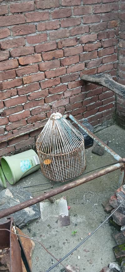 Cage e