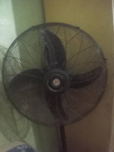 Royal fan 56inch