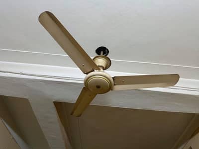 2 fans for urgent sale