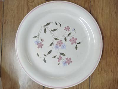 Pre-loved Dinner Plates