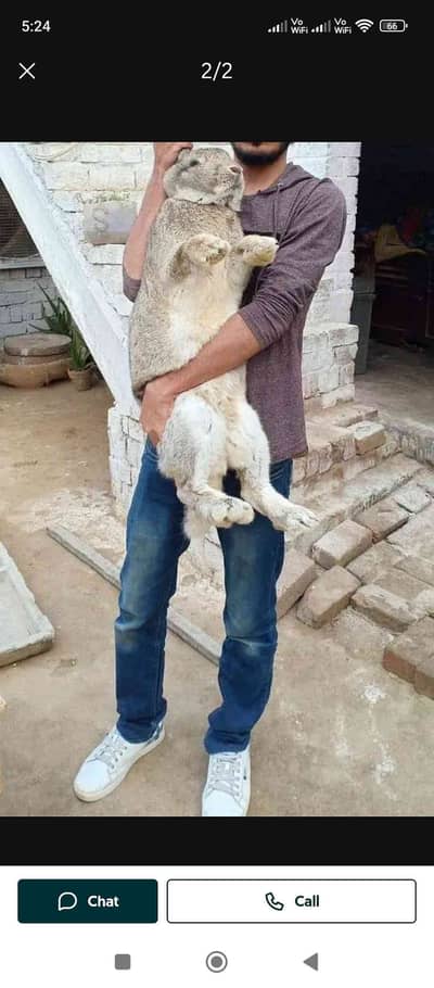 jahanzaib ashraf