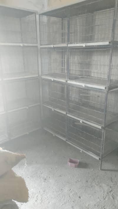 8 Potions 2 Irion Cages 1.5/2  For Sale 10 no Wire