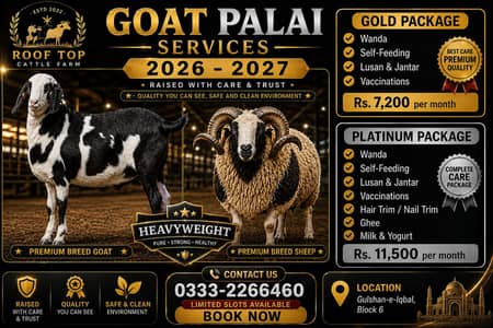 Goat palai