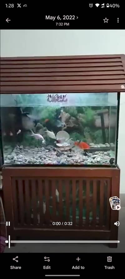 big size aquarium