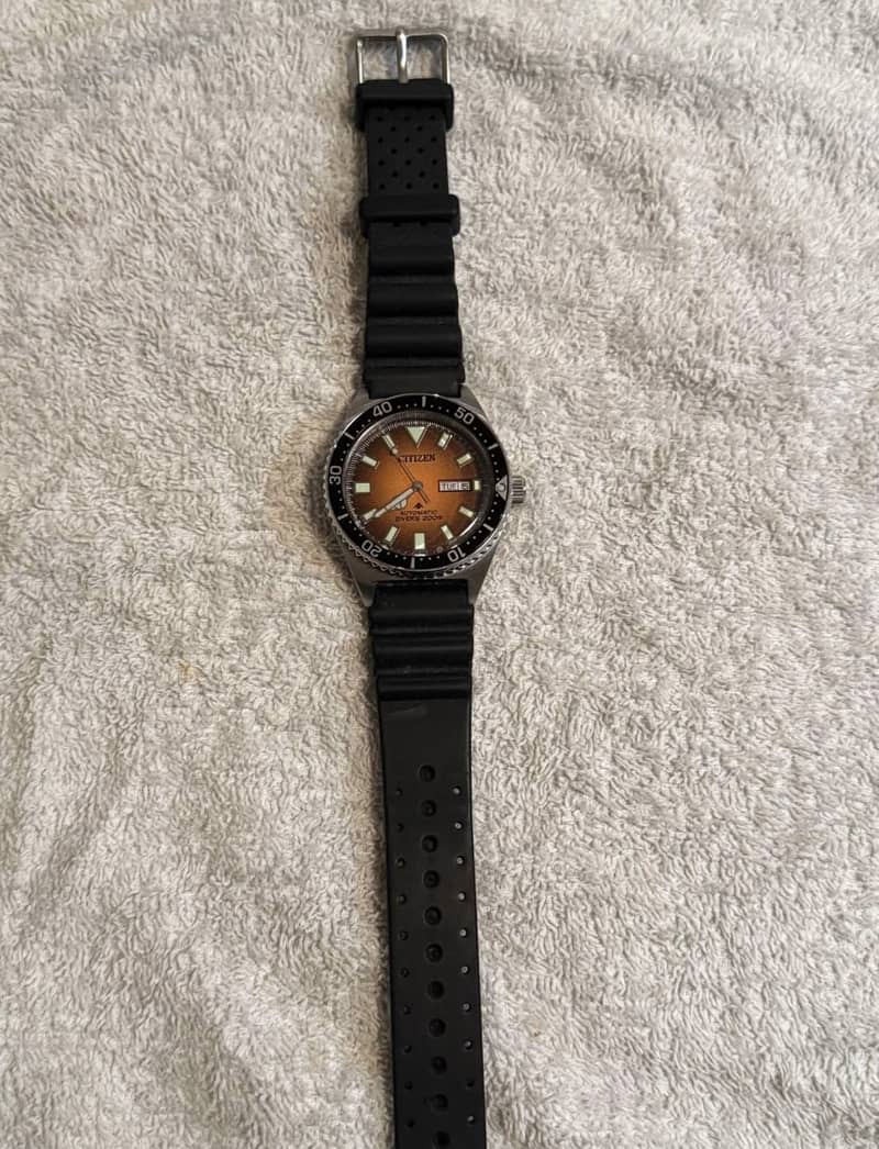 Citizen Pro master 2