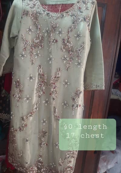 party wear dress (2pc)