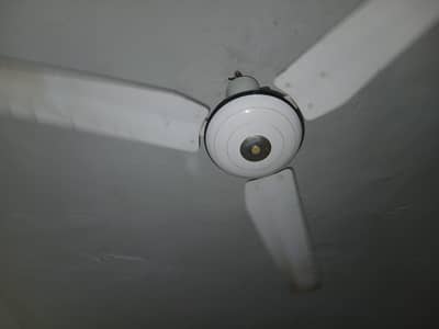 Ceiling Fans