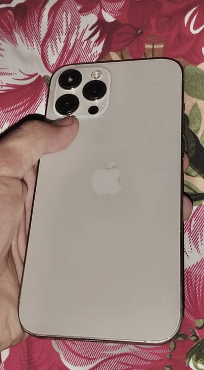 Apple iPhone 12 Pro Max