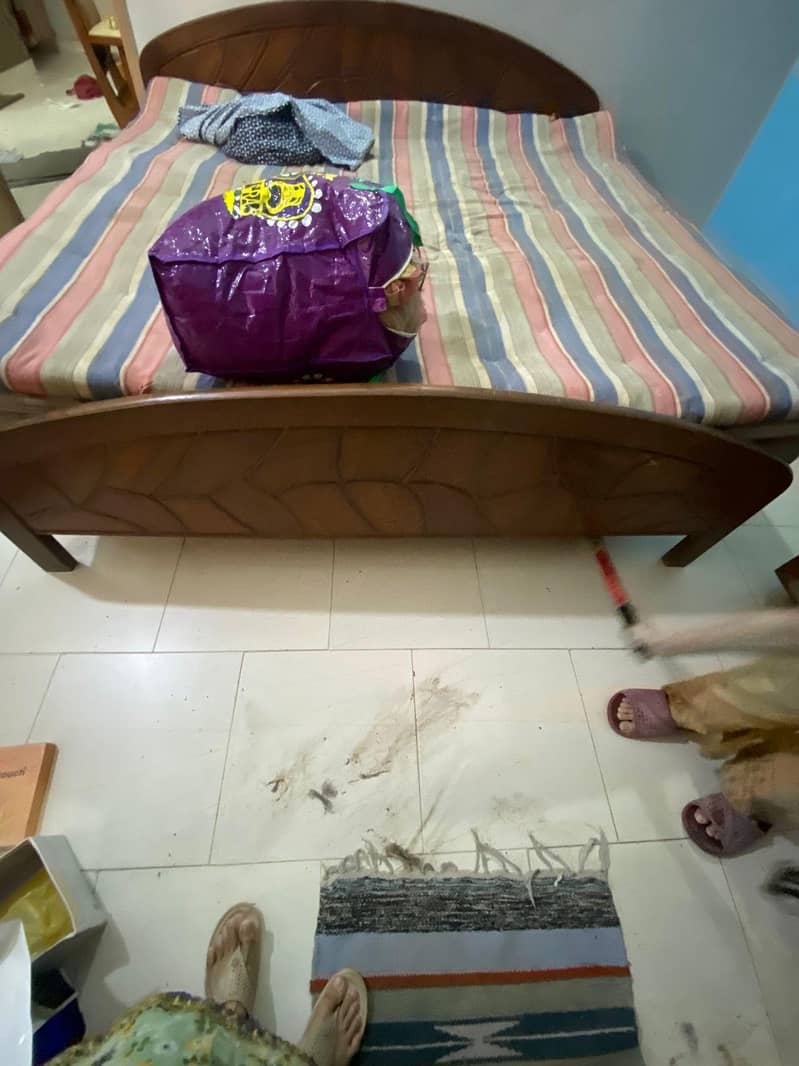 only bed 1