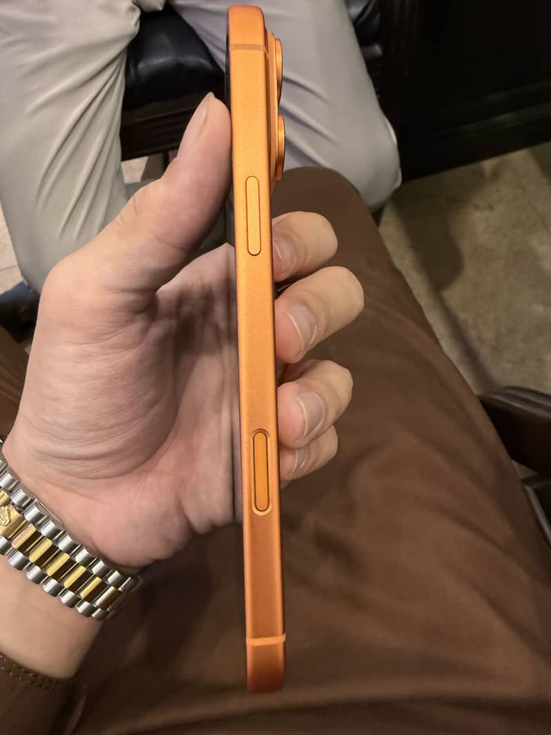 17 pro max 4