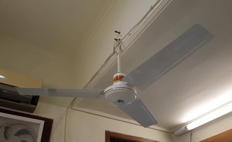Ceiling fans 1