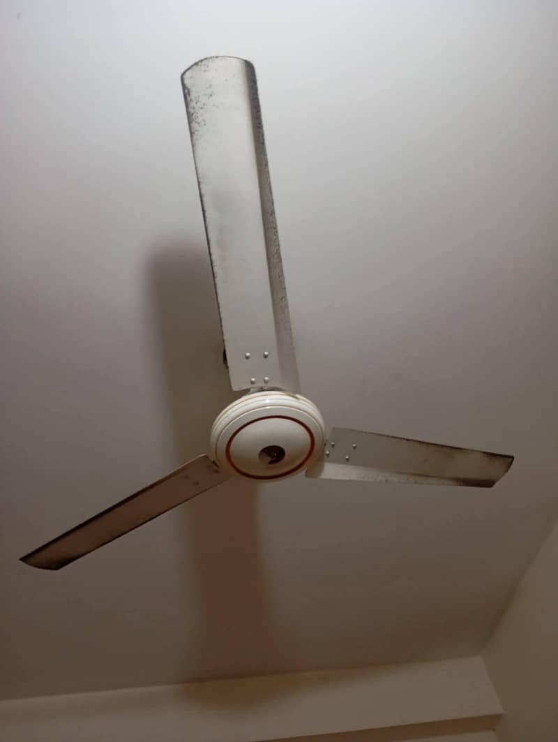Ceiling fans 2