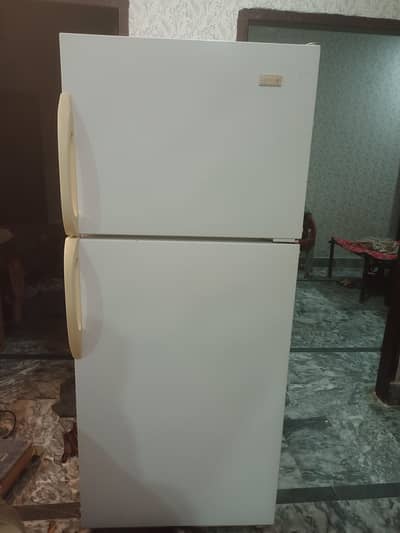 Hoover imported American fridge full size