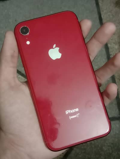 Iphone XR (Fu)