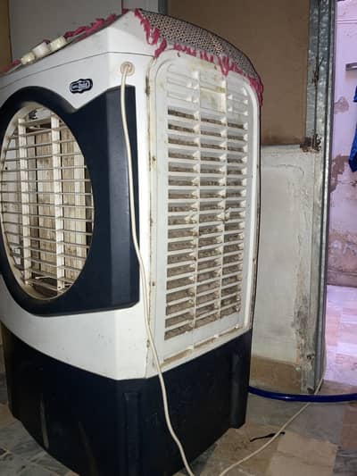 Ac dc cooler