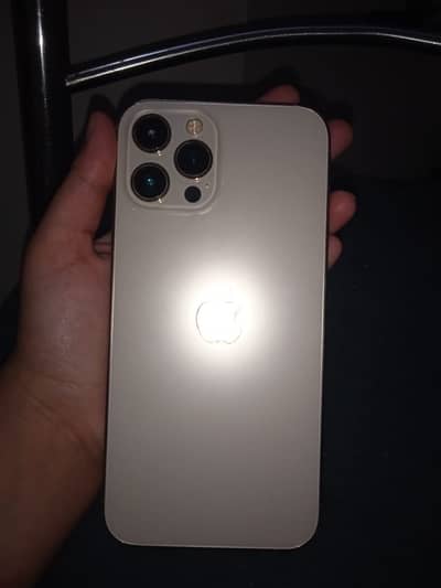 Apple iPhone 12 Pro Max