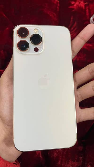 Apple iPhone 13 Pro Max