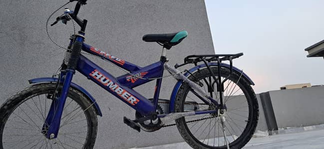 bicycle for teenagers