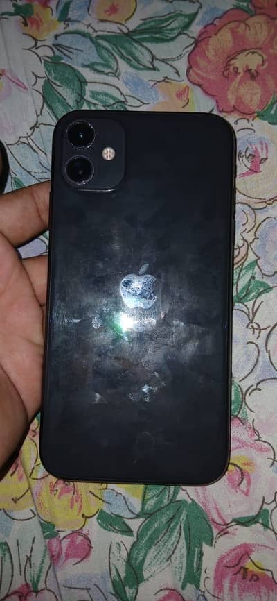 Iphone 11 pta aprvod dual physical sim