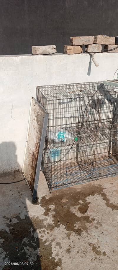 Cages Pinjra